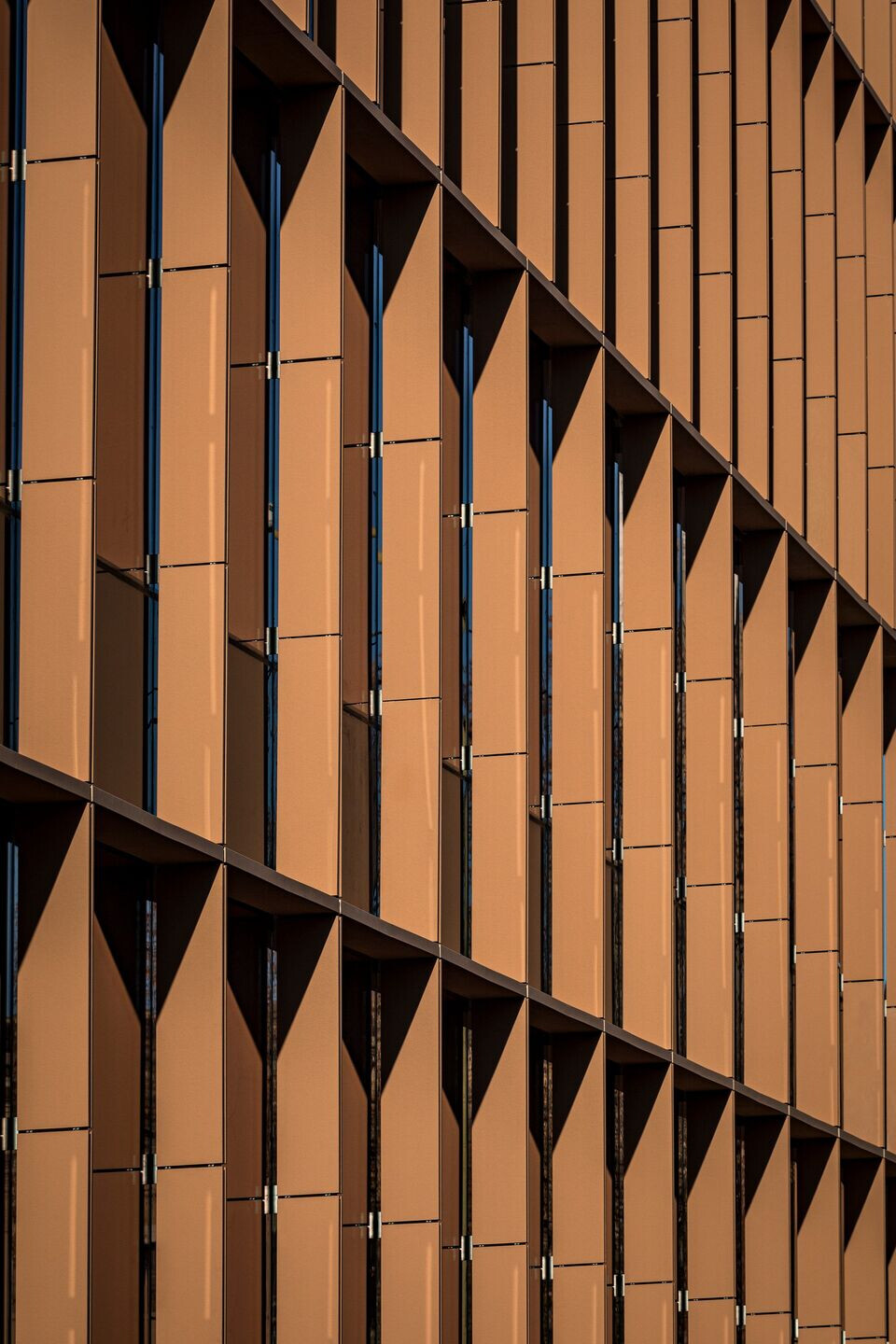 https://archello.com/story/120401/attachments/photos-videos/18 photo_credit Rafael Vargas