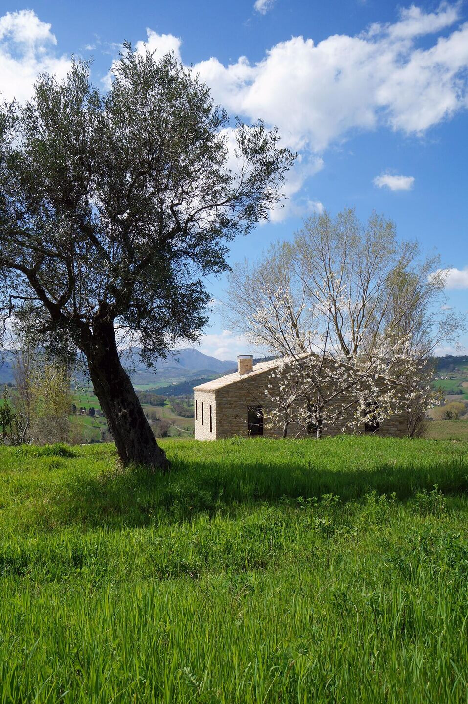 https://archello.com/story/120503/attachments/photos-videos/3 photo_credit Silvia Brocchini