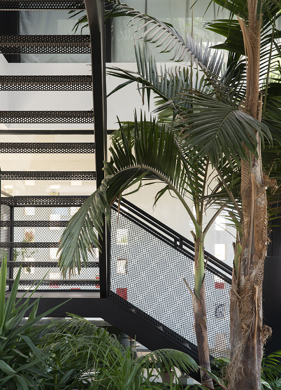 https://archello.com/story/120643/attachments/photos-videos/9 photo_credit Dario Miale