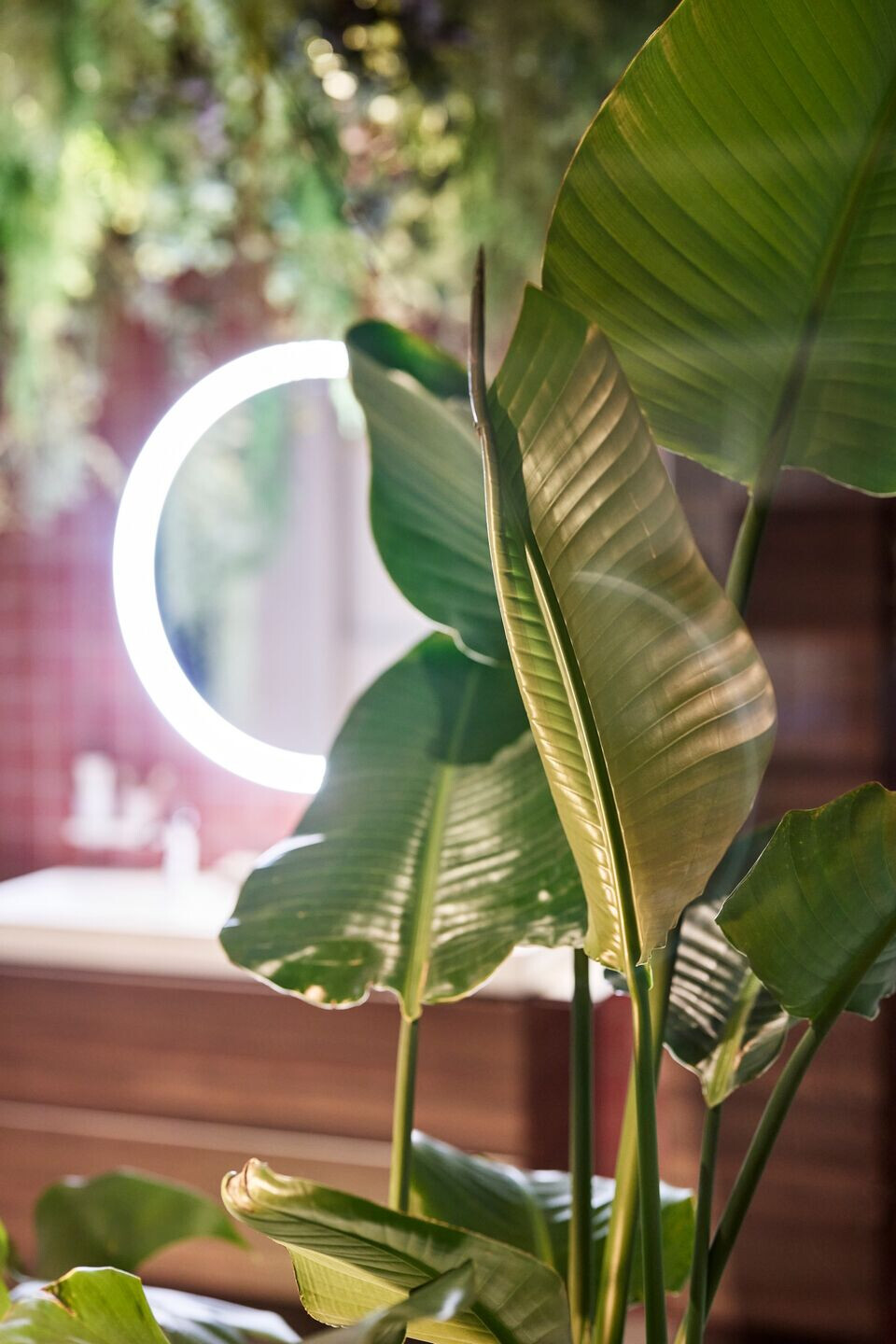 https://archello.com/story/120625/attachments/photos-videos/7 photo_credit Philip Kottlorz