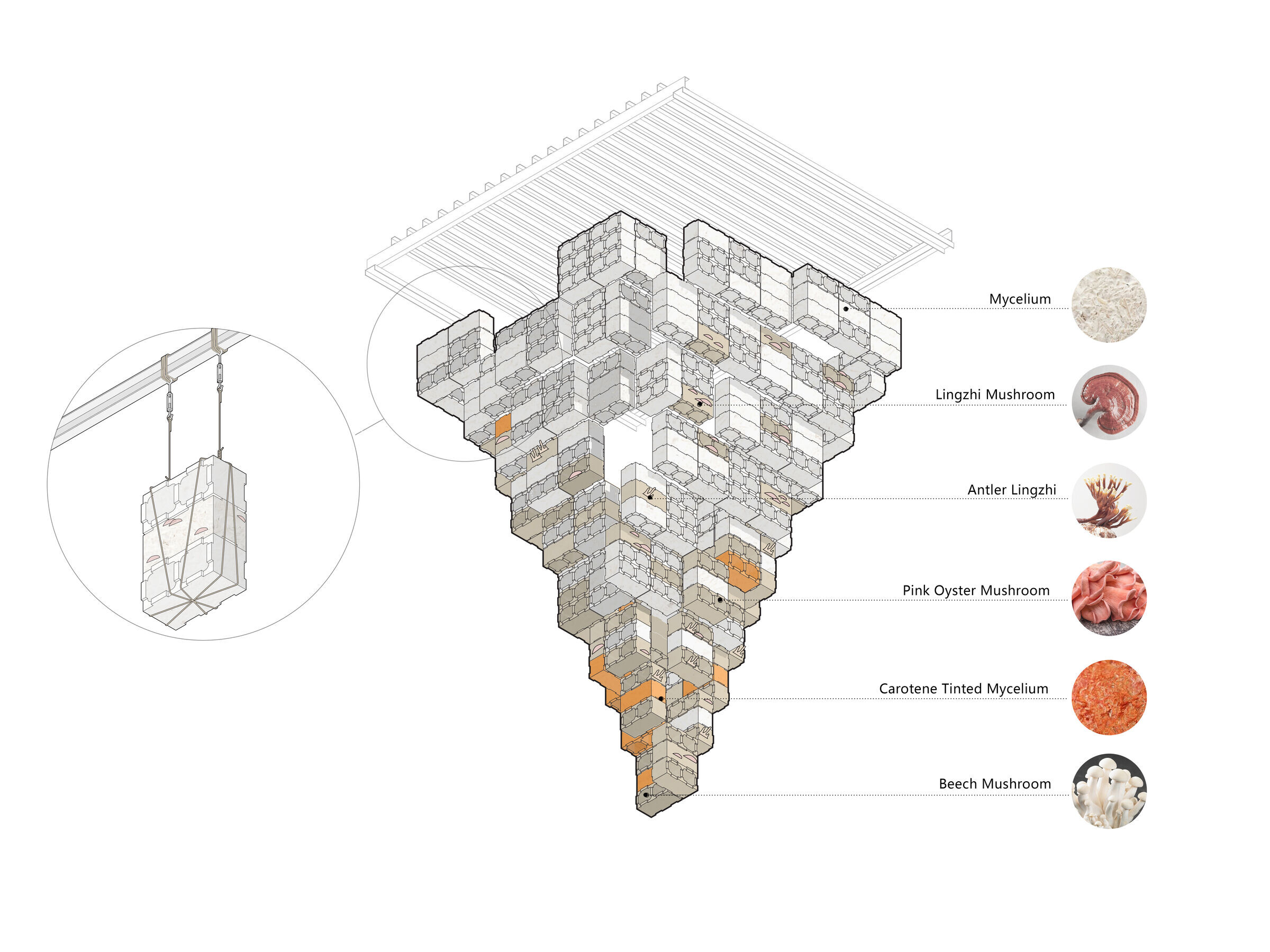https://archello.com/story/120670/attachments/drawings/5 photo_credit Studio Link-Arc