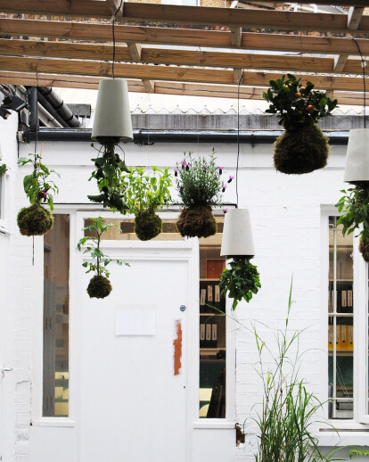 The Hanging Garden of Clerkenwell