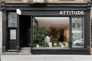 Attitude Boutique