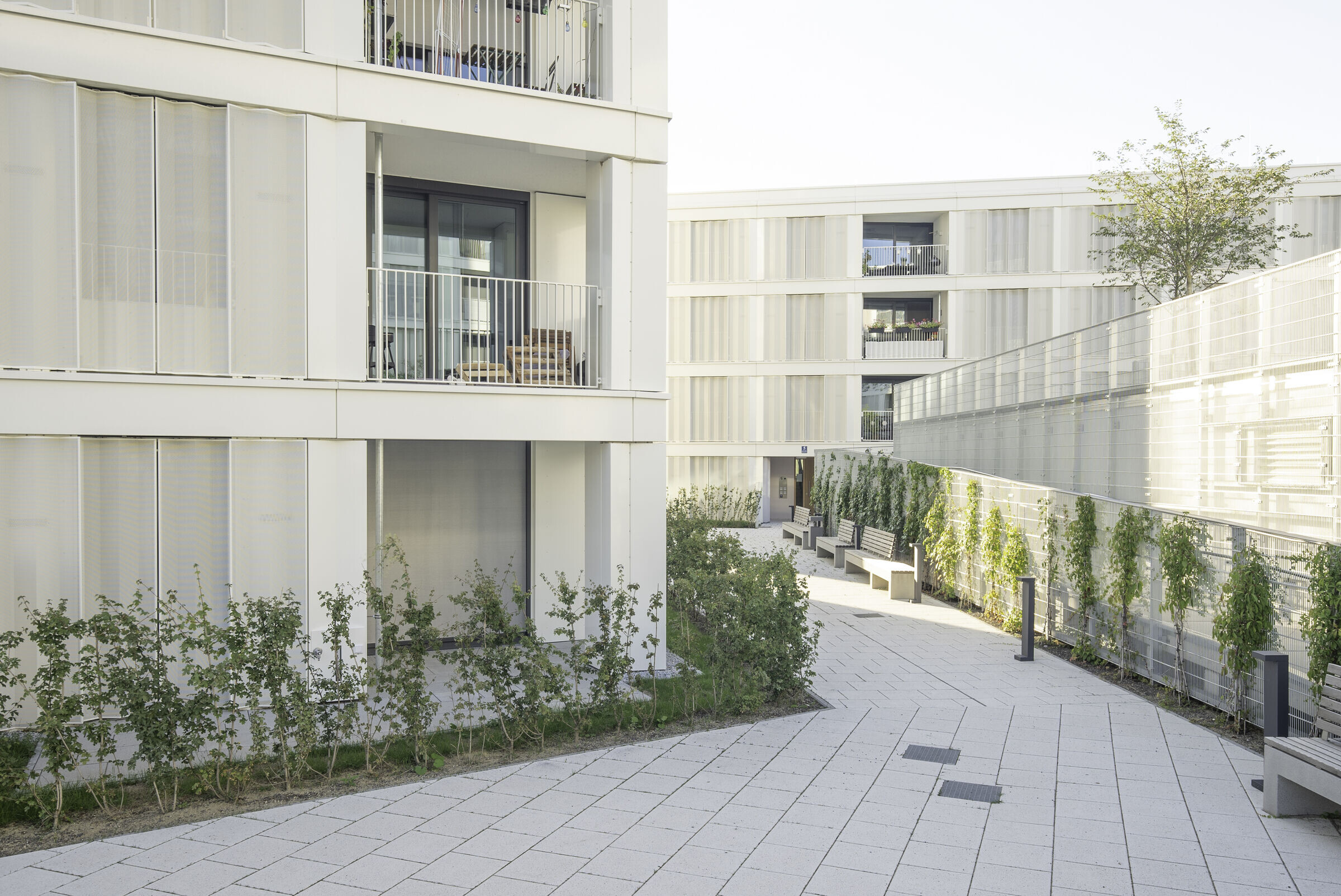https://archello.com/story/121938/attachments/photos-videos/4 photo_credit Bauhaus Filmwerkstatt für Solarlux GmbH