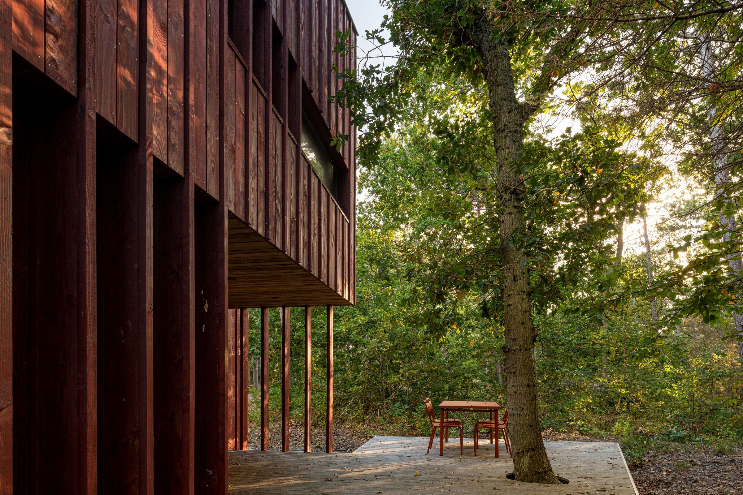 https://archello.com/story/121907/attachments/photos-videos/10 photo_credit JDVF Architectuurfotografie