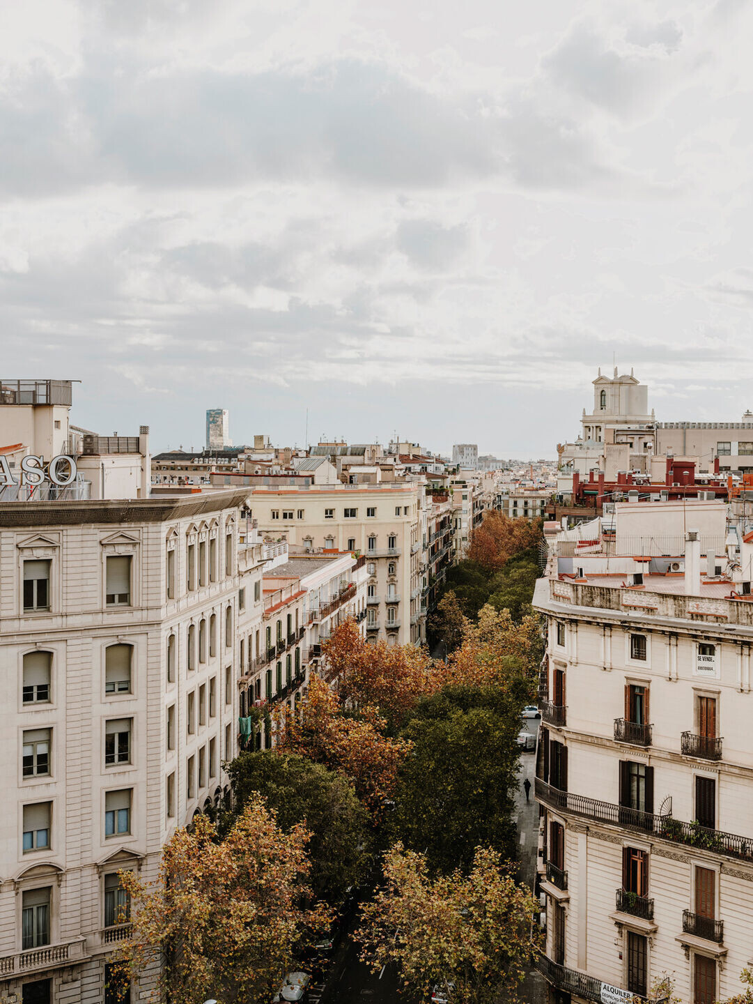 https://archello.com/story/122046/attachments/photos-videos/15 photo_credit Salva López