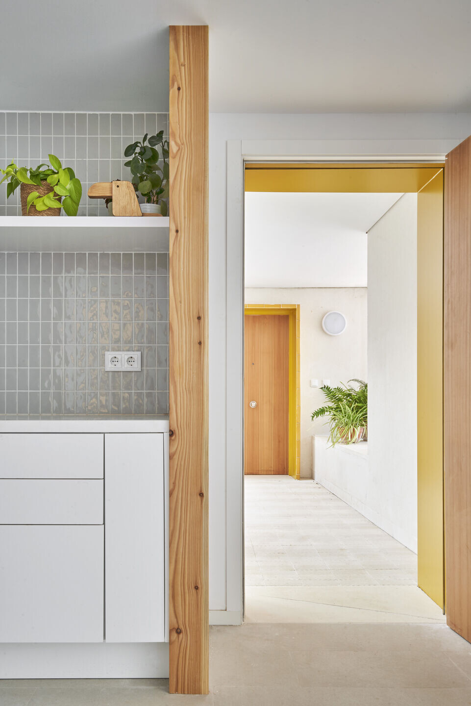 https://archello.com/story/122194/attachments/photos-videos/27 photo_credit José Hevia