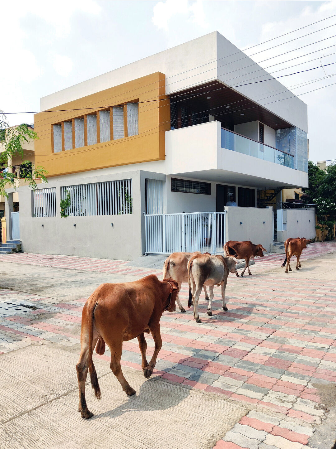 https://archello.com/story/122181/attachments/photos-videos/5 photo_credit Courtesy of Studio Habitect, Pratik Panzade