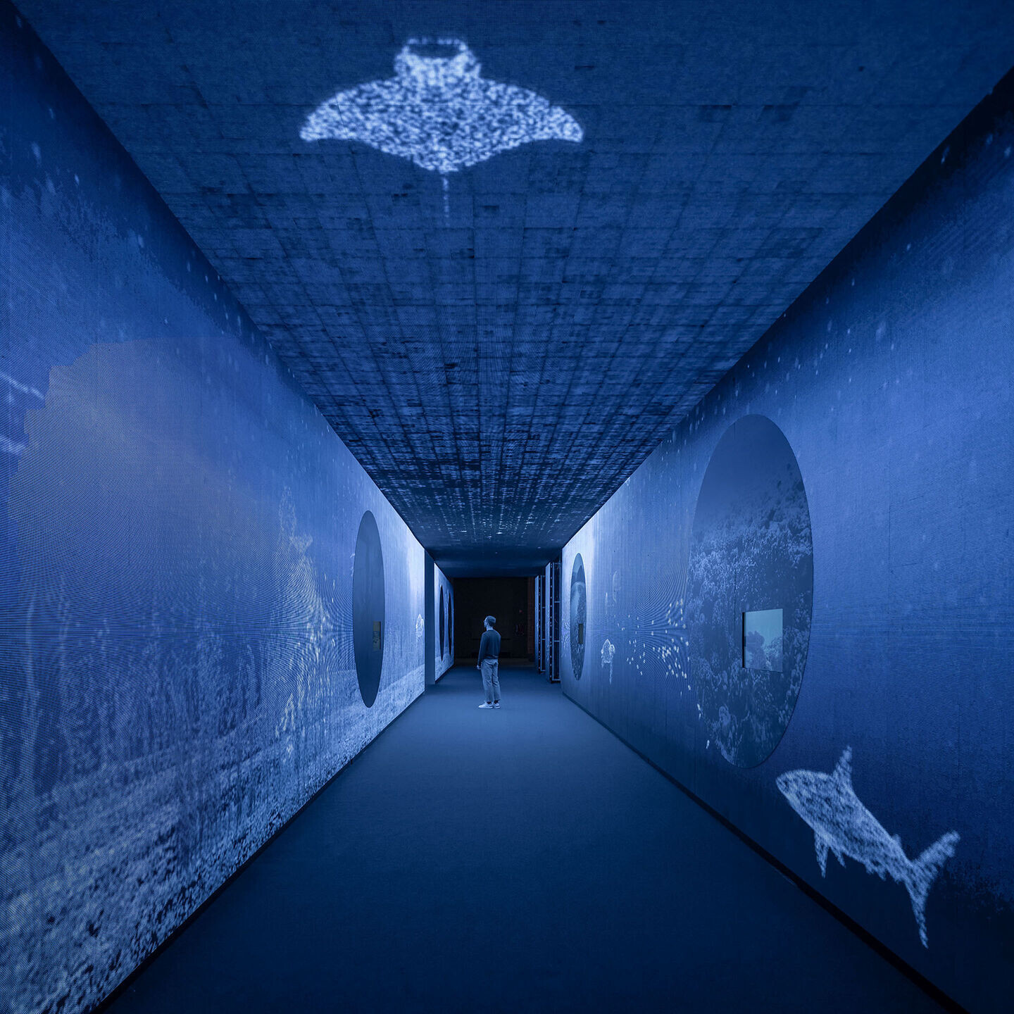 https://archello.com/story/122252/attachments/photos-videos/10 photo_credit Imagen Subliminal (Miguel de Guzmán & Rocío Romero)