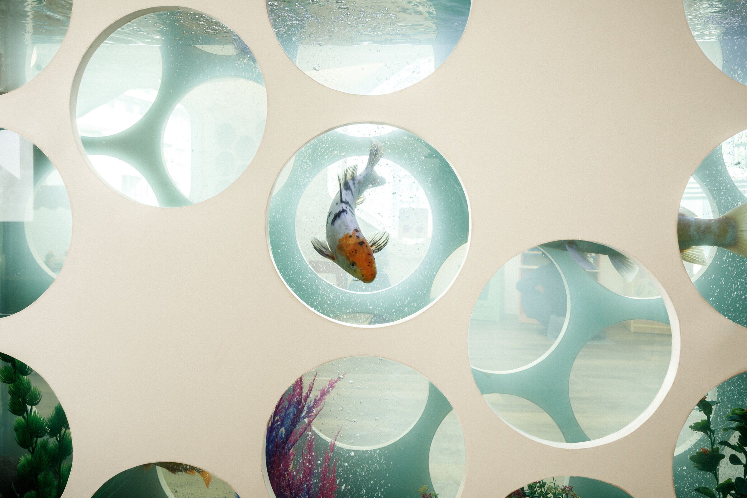 https://archello.com/story/123035/attachments/photos-videos/10 photo_credit 11h45