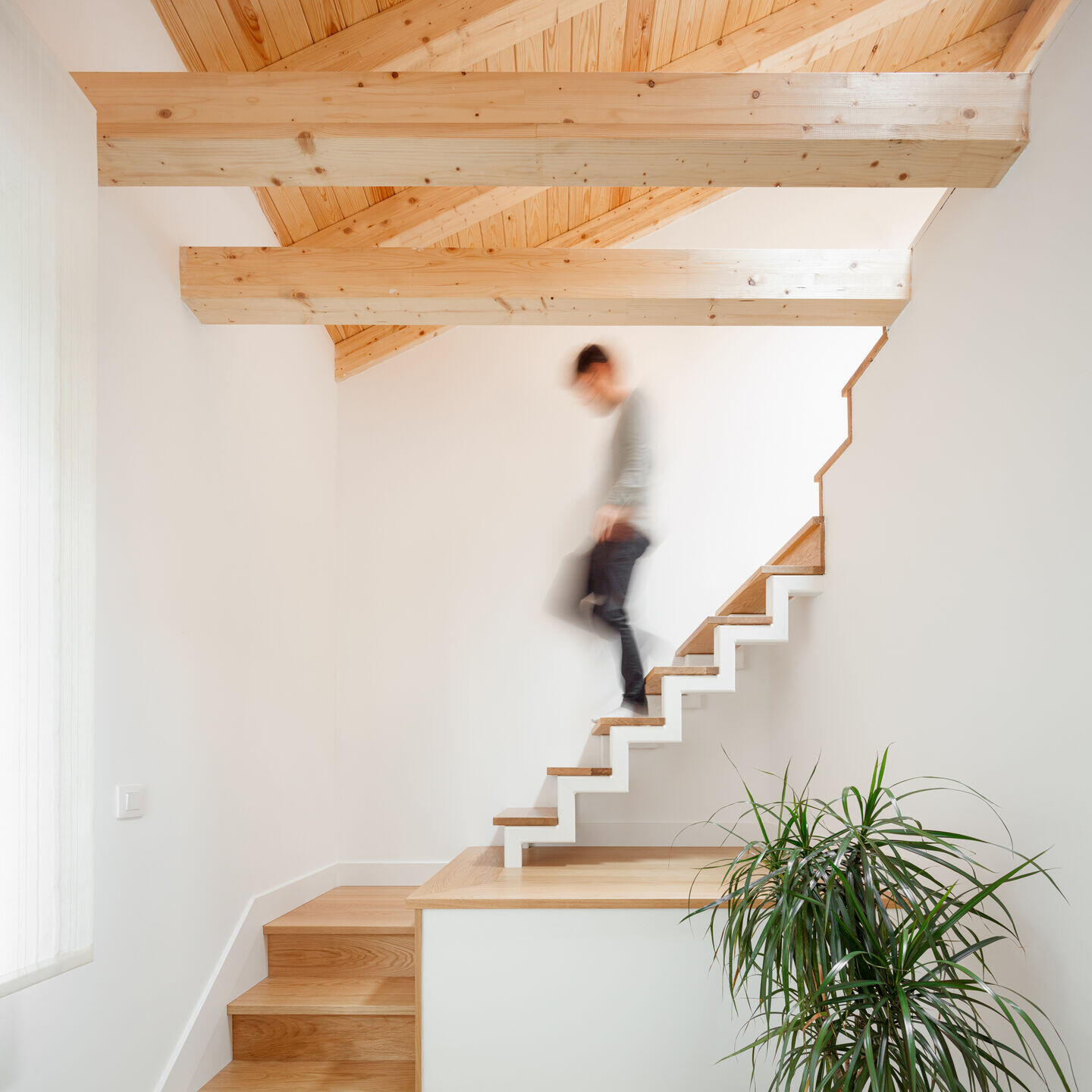 https://archello.com/story/123010/attachments/photos-videos/6 photo_credit Aitor Estévez