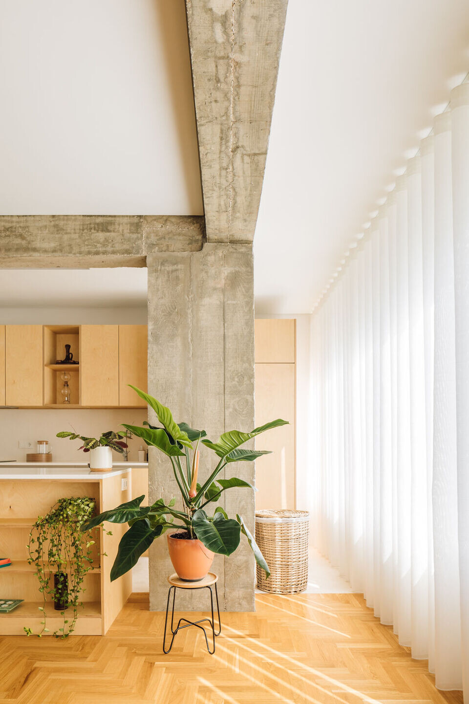 https://archello.com/story/123008/attachments/photos-videos/5 photo_credit Francisco Nogueira