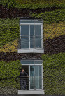 08_S-photo greenwall medium shot by Manolo Langis.jpg