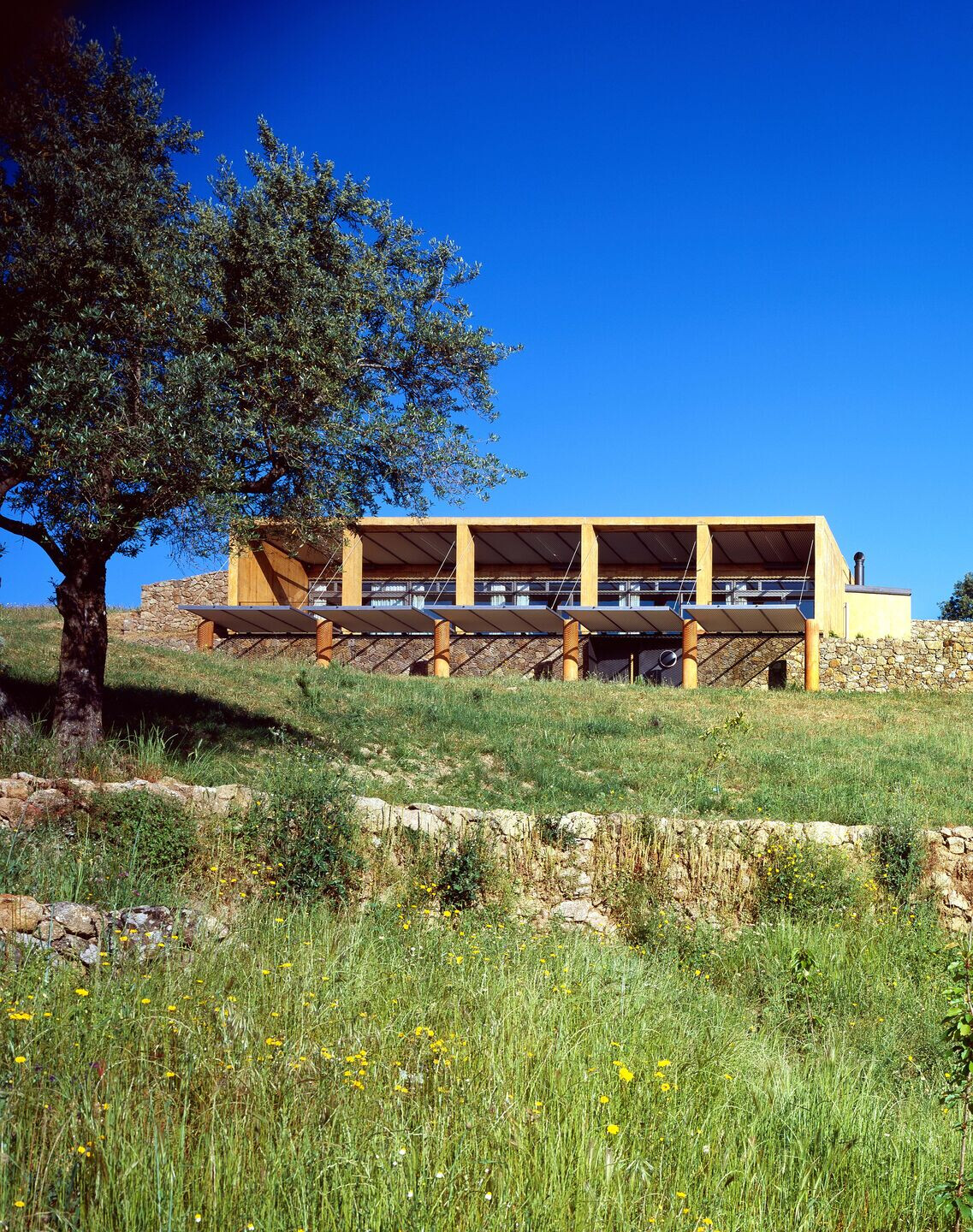 https://archello.com/story/123277/attachments/photos-videos/4 photo_credit Jesús Granada