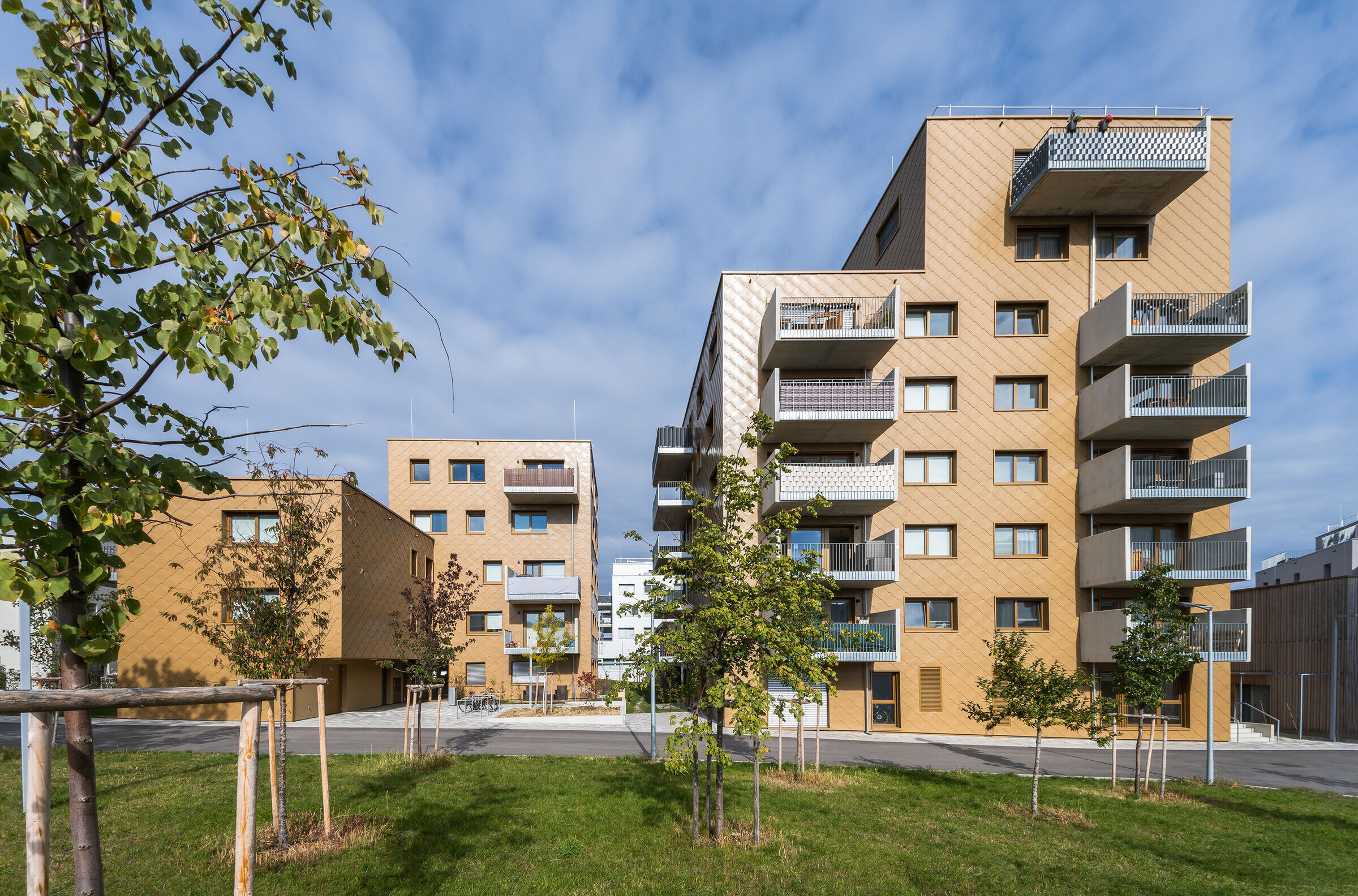 https://archello.com/story/123764/attachments/photos-videos/3 photo_credit Sandra Grossauer