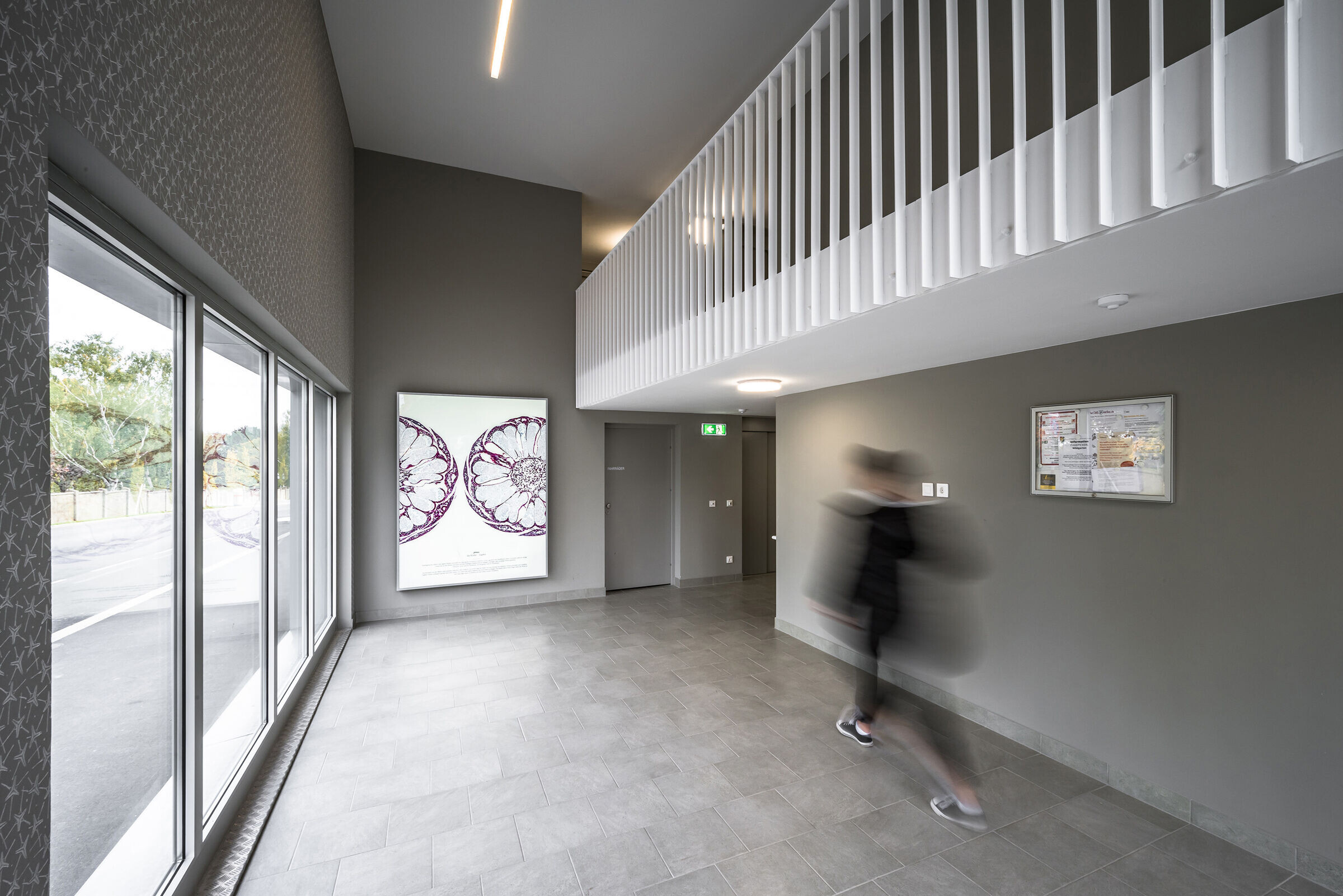 https://archello.com/story/123764/attachments/photos-videos/6 photo_credit Sandra Grossauer