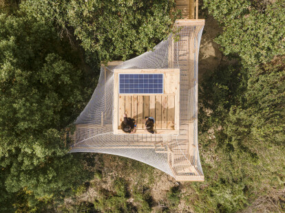 Students design and build a mass timber observatory to study forest canopies