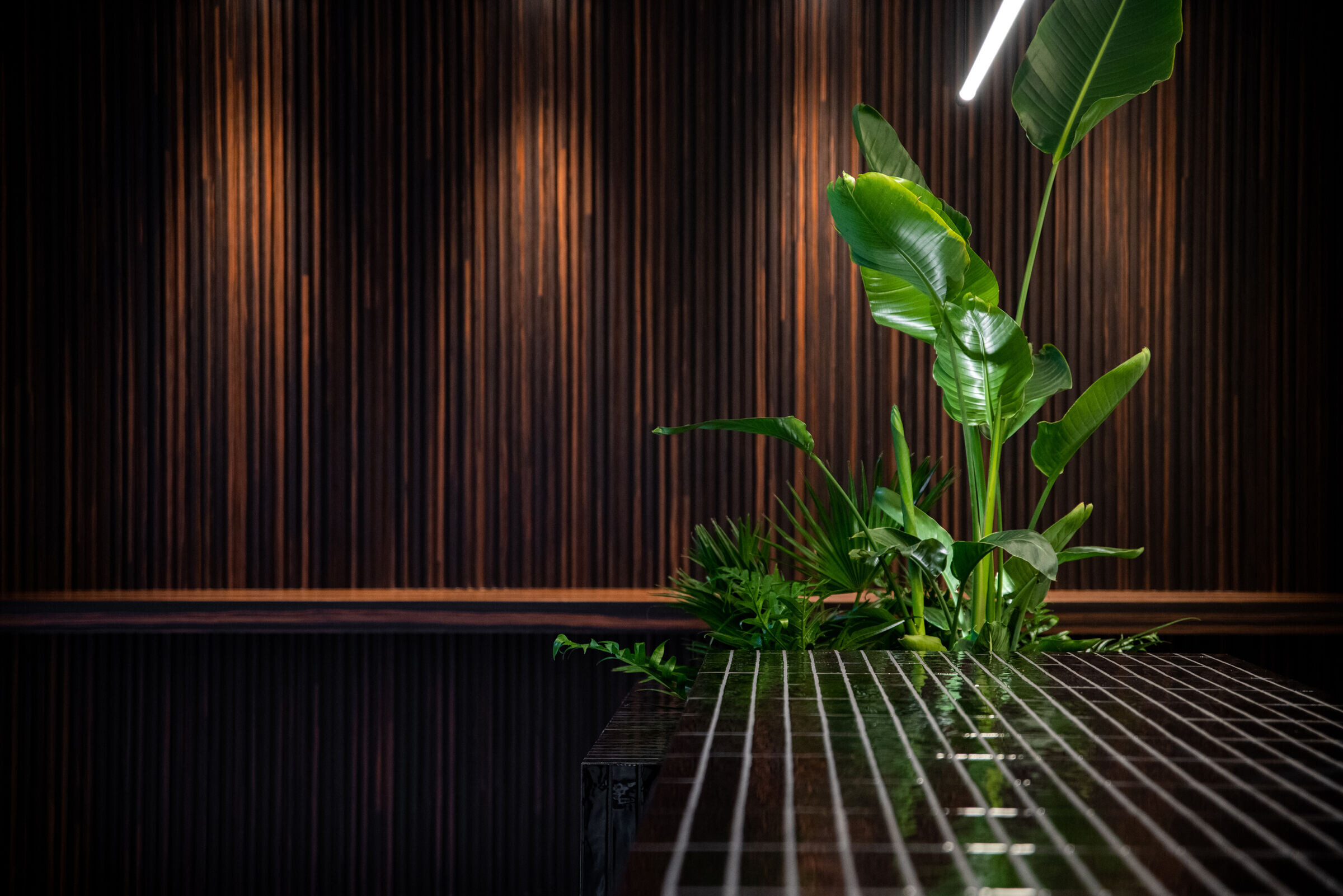 https://archello.com/story/123856/attachments/photos-videos/49 photo_credit Patricia Goijens