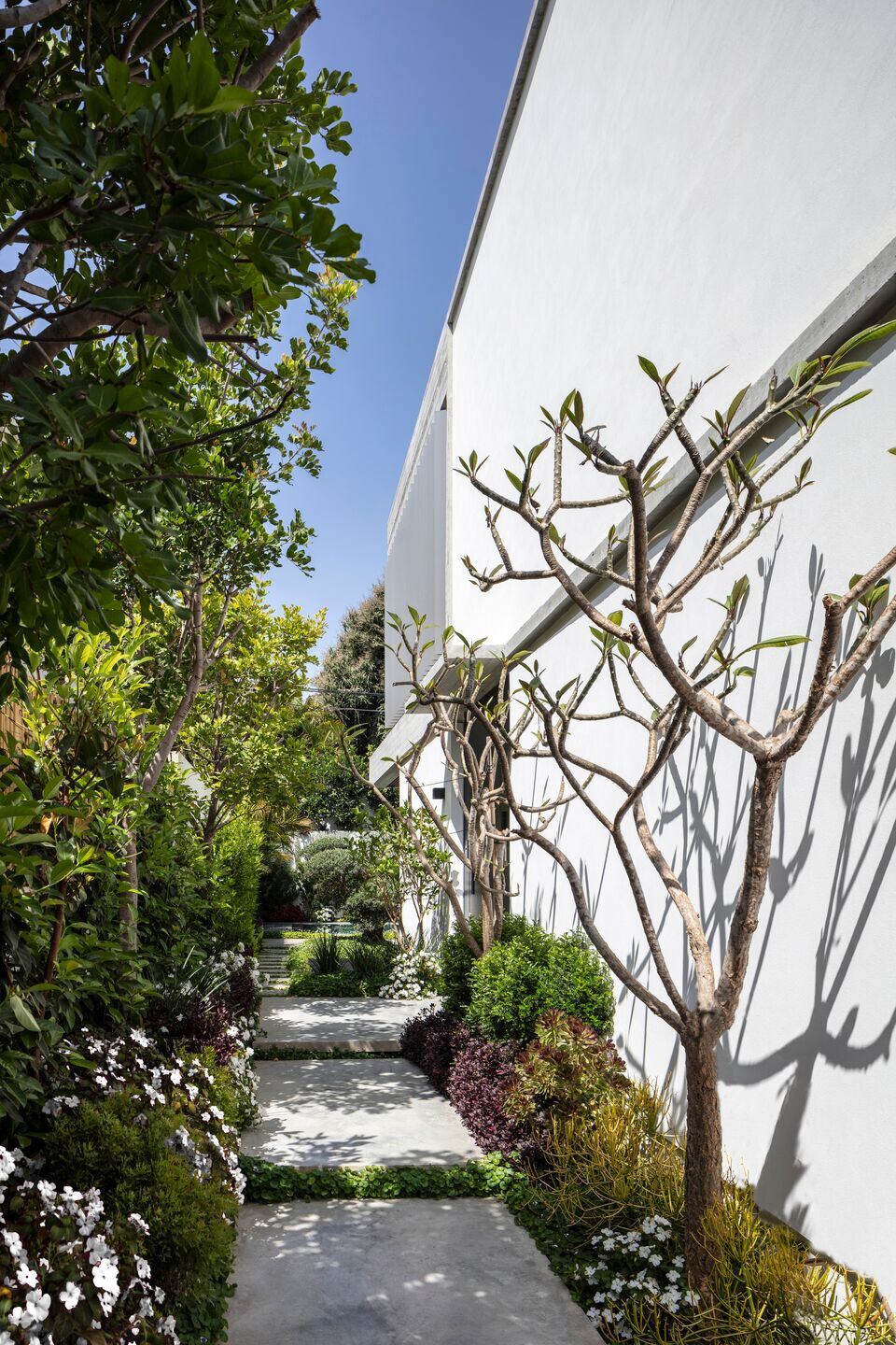 https://archello.com/story/124059/attachments/photos-videos/17 photo_credit Amit Geron