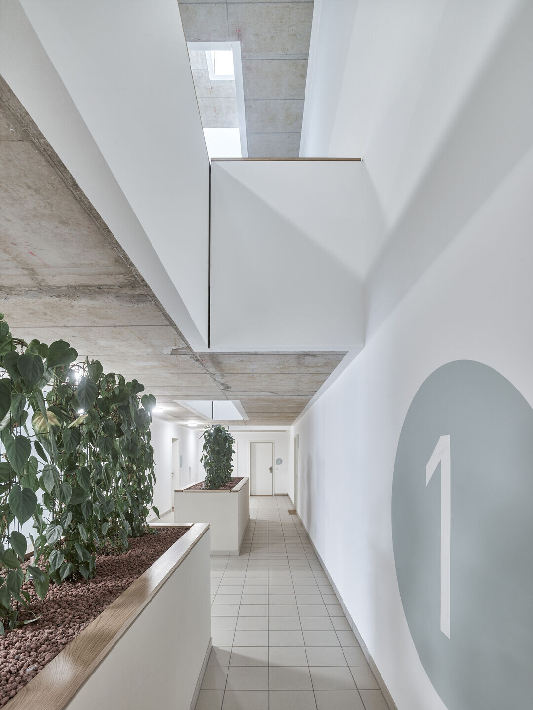 https://archello.com/story/124141/attachments/photos-videos/24 photo_credit Kurt Hörbst