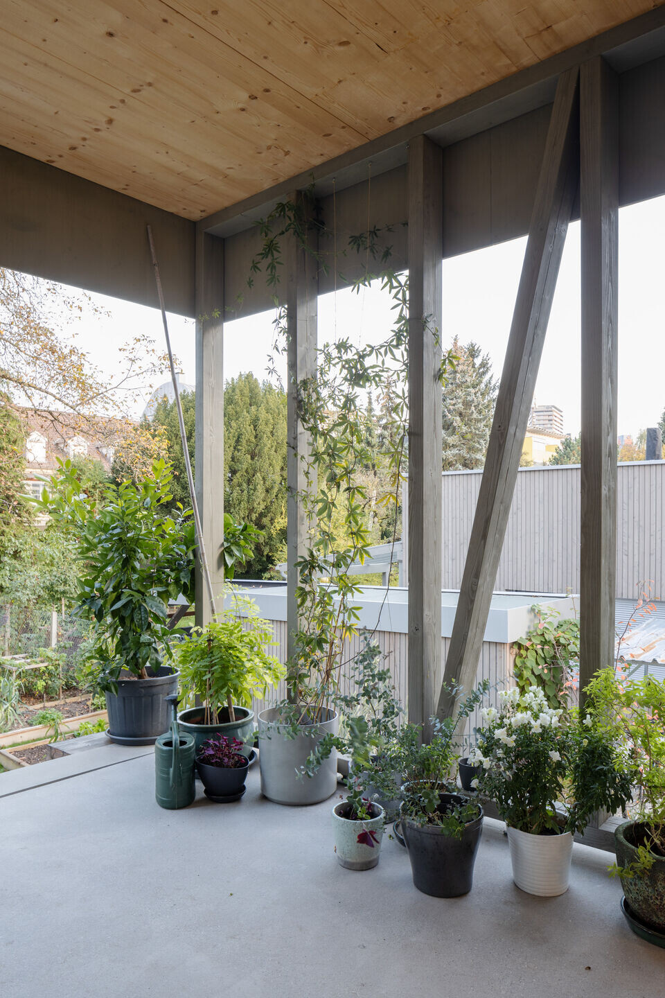 https://archello.com/story/124164/attachments/photos-videos/17 photo_credit Gregor Graf