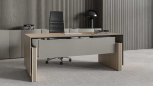 MOTION executive sit-stand desk