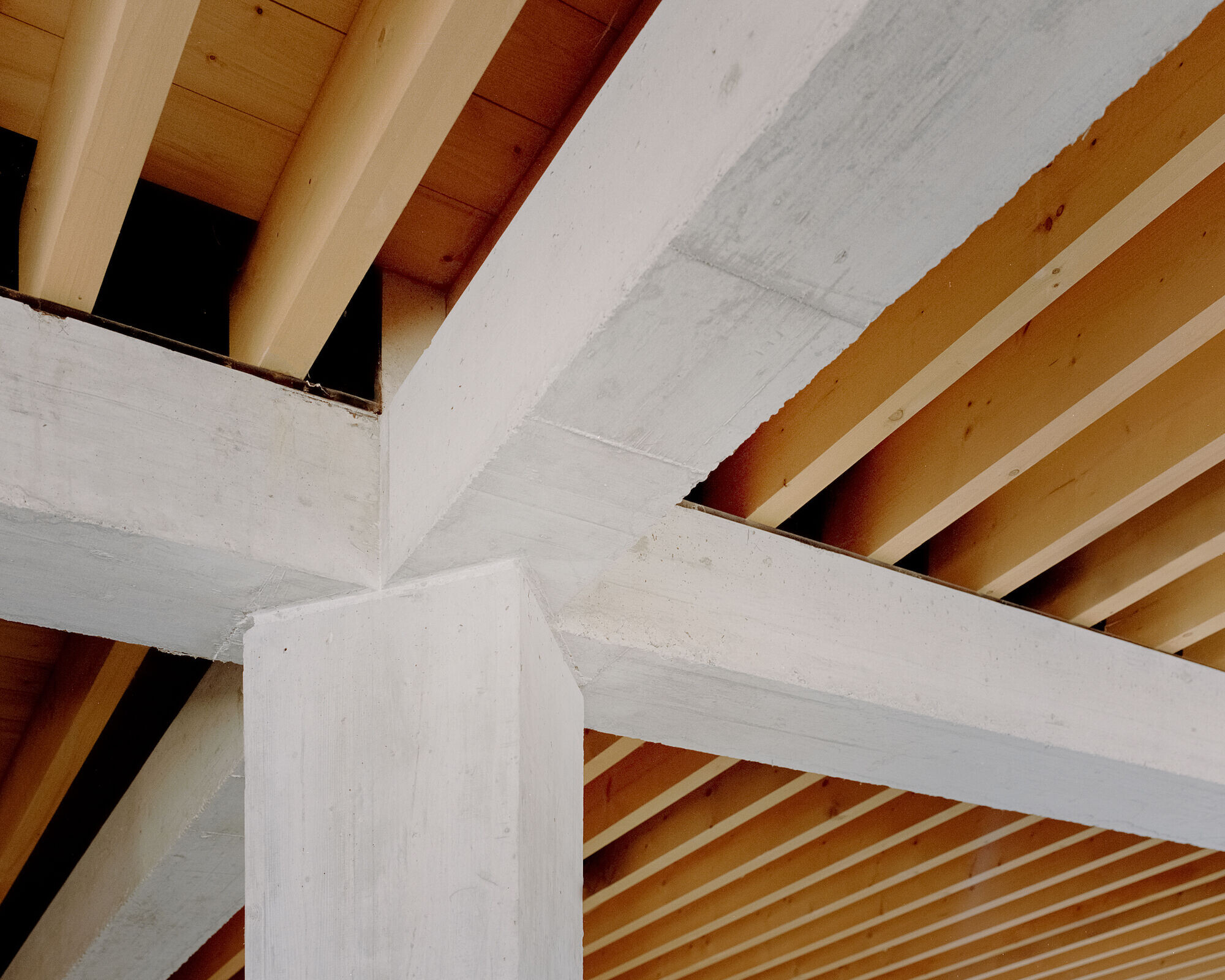 https://archello.com/story/124352/attachments/photos-videos/8 photo_credit Simone Bossi