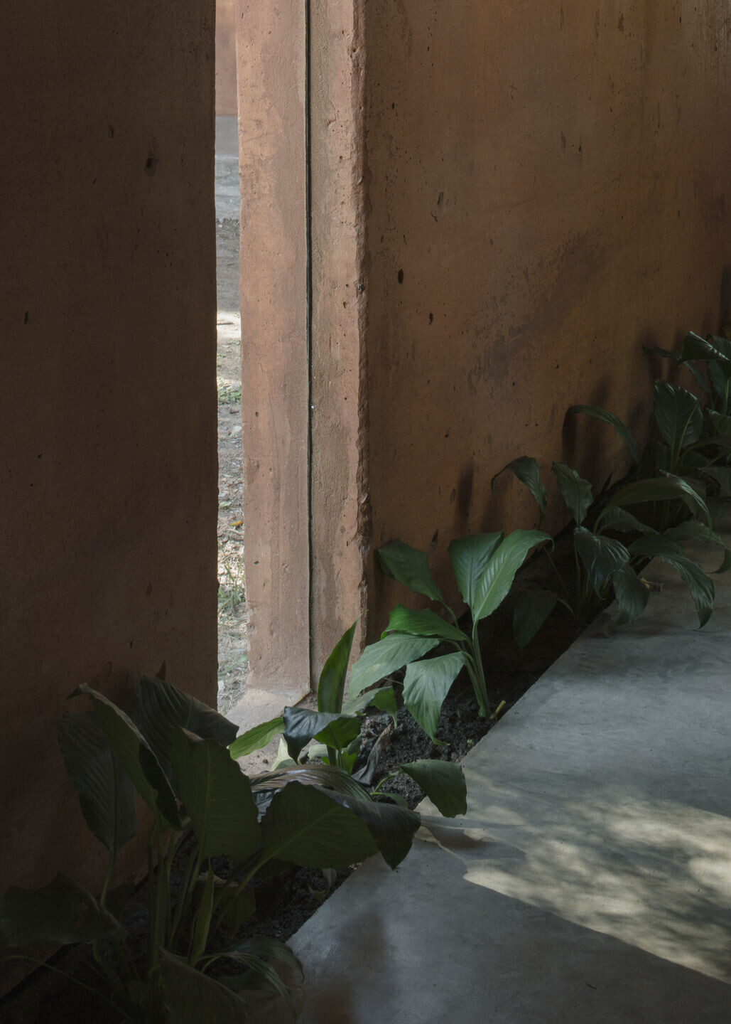 https://archello.com/story/124610/attachments/photos-videos/15 photo_credit Federico Cairoli