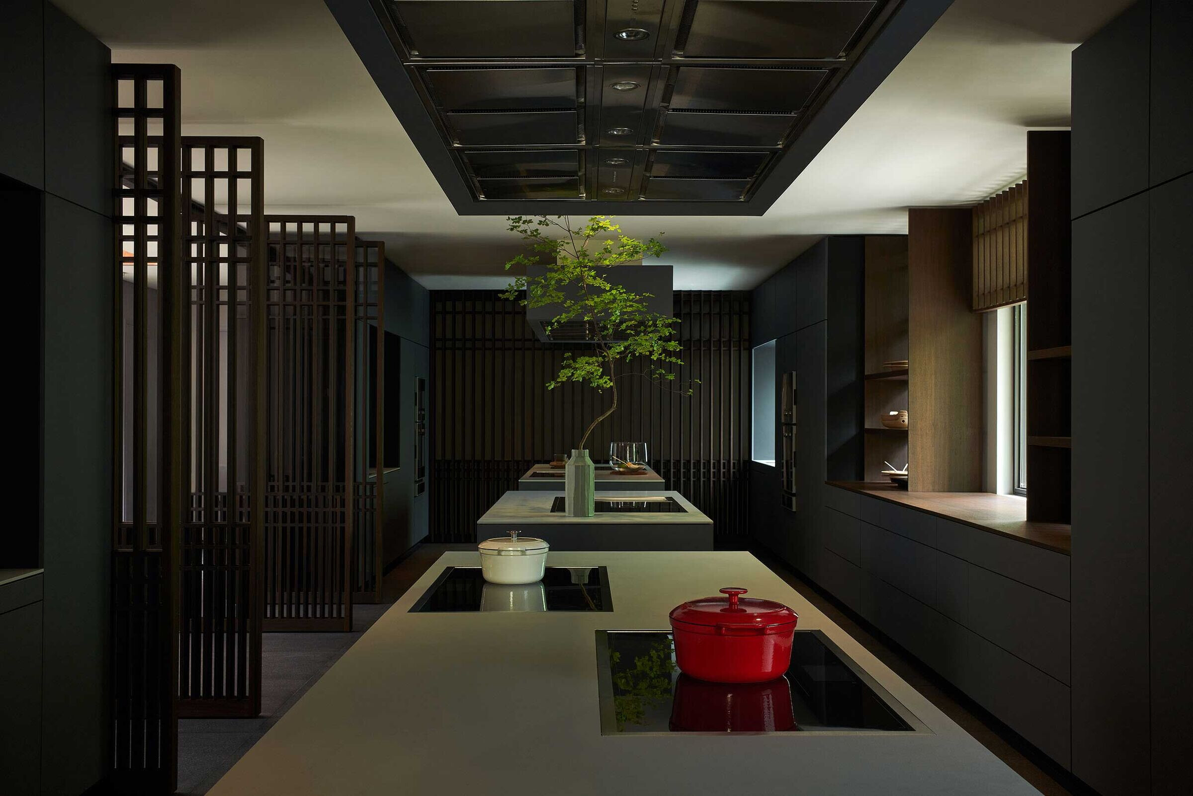 https://archello.com/story/124807/attachments/photos-videos/10 photo_credit Gaggenau
