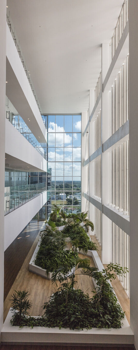 https://archello.com/story/125165/attachments/photos-videos/19 photo_credit David Cervera Castro