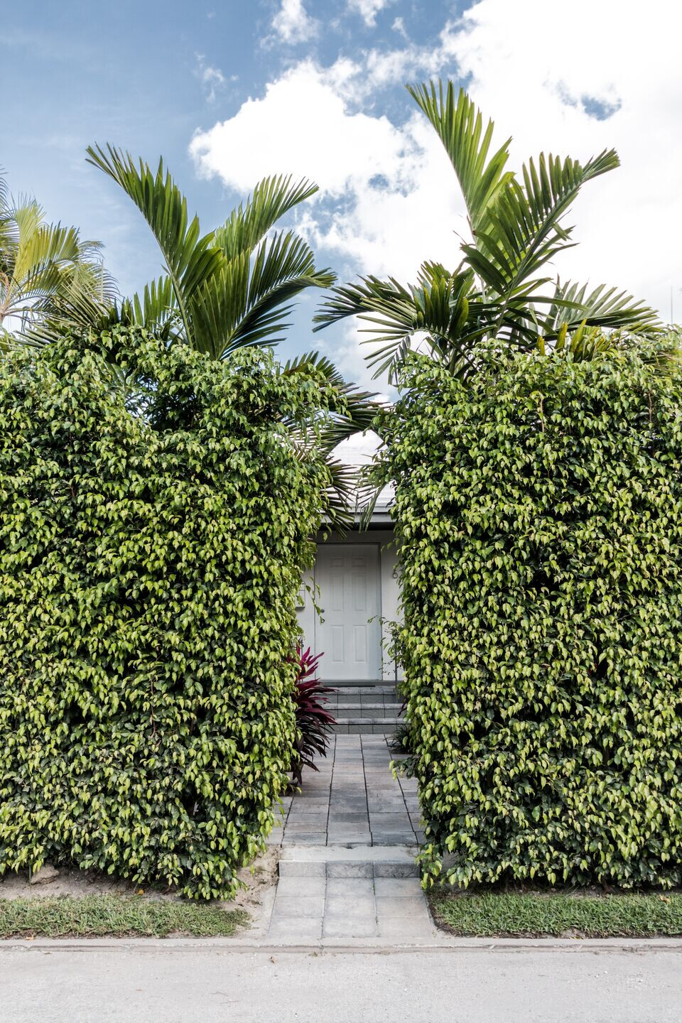 https://archello.com/story/125220/attachments/photos-videos/62 photo_credit David Osnaya. Courtesy Of Elías Group