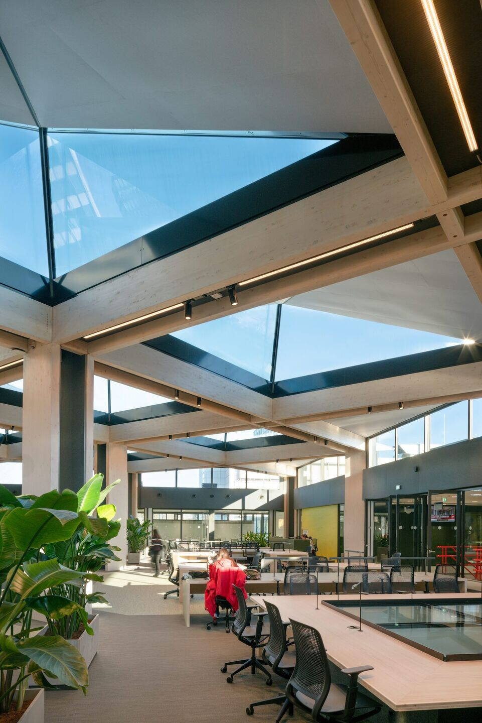 https://archello.com/story/125249/attachments/photos-videos/8 photo_credit Courtesy Of Team V Architecture