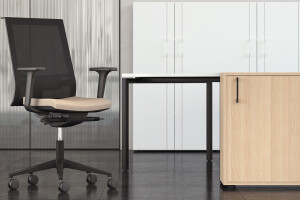 EVA.II task chair