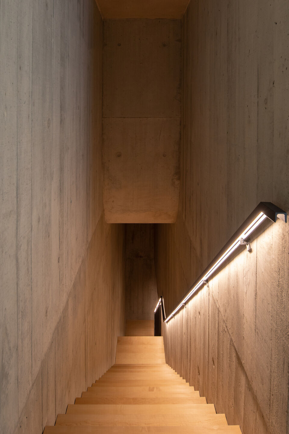 https://archello.com/story/125569/attachments/photos-videos/50 photo_credit José Campos