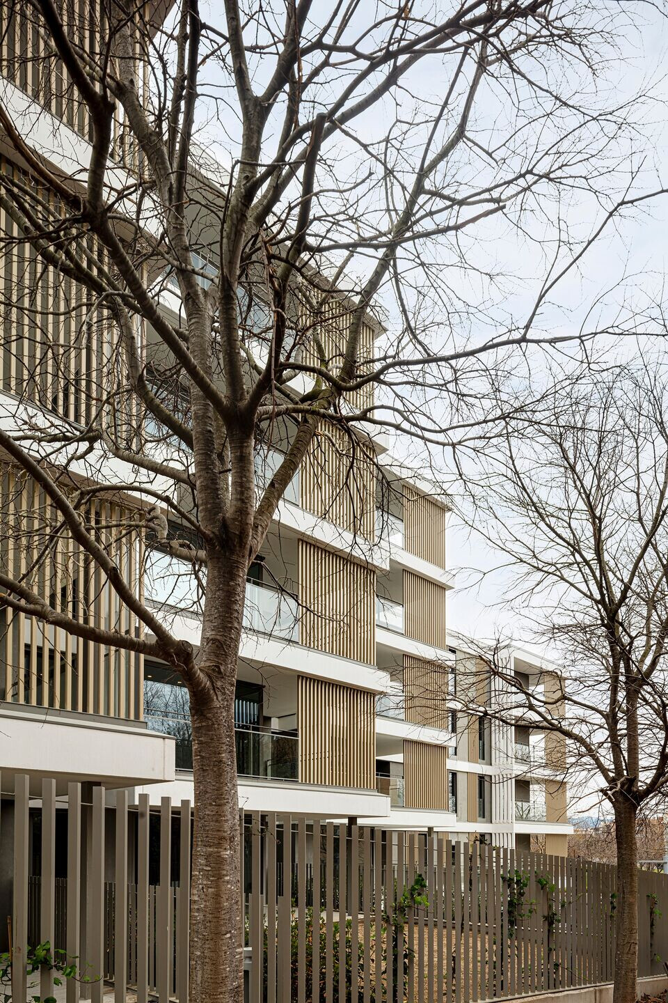 https://archello.com/story/125579/attachments/photos-videos/5 photo_credit Adrià Goula