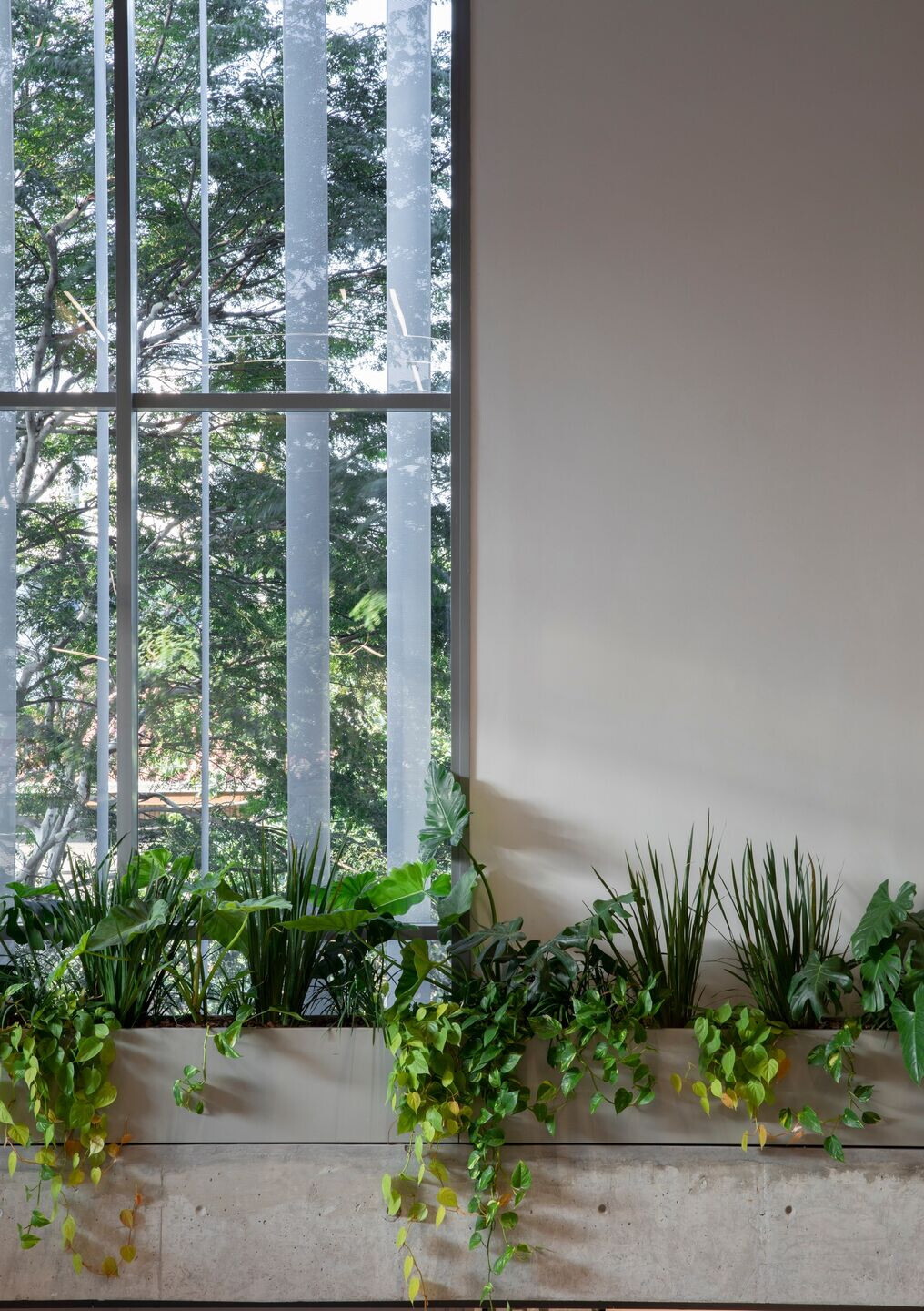 https://archello.com/story/125662/attachments/photos-videos/10 photo_credit Maíra Acayaba