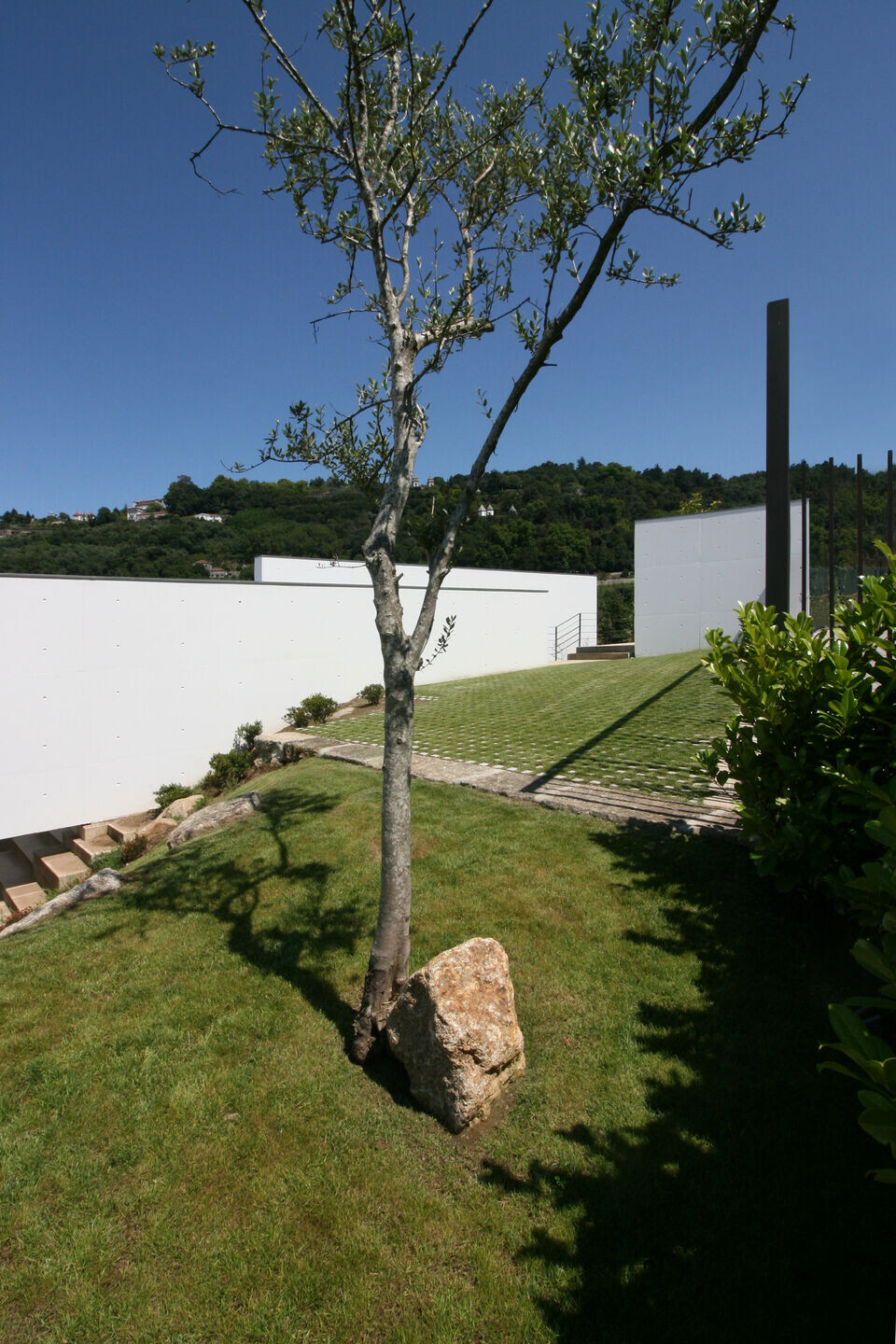 https://archello.com/story/125521/attachments/photos-videos/3 photo_credit João Morgado