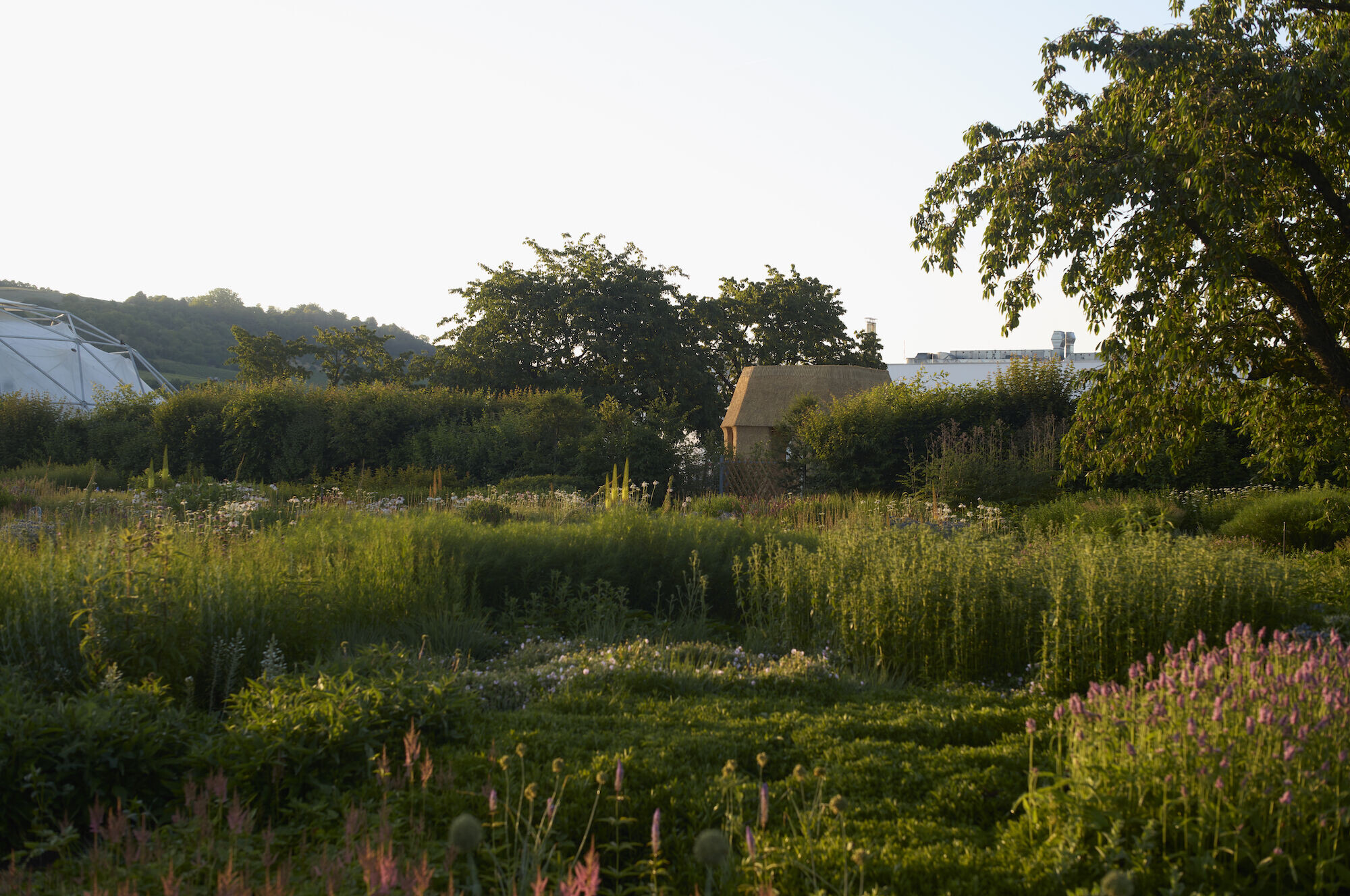 https://archello.com/story/126348/attachments/photos-videos/15 photo_credit Julien Lanoo