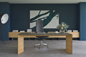 MOVE&LEAD executive furniture