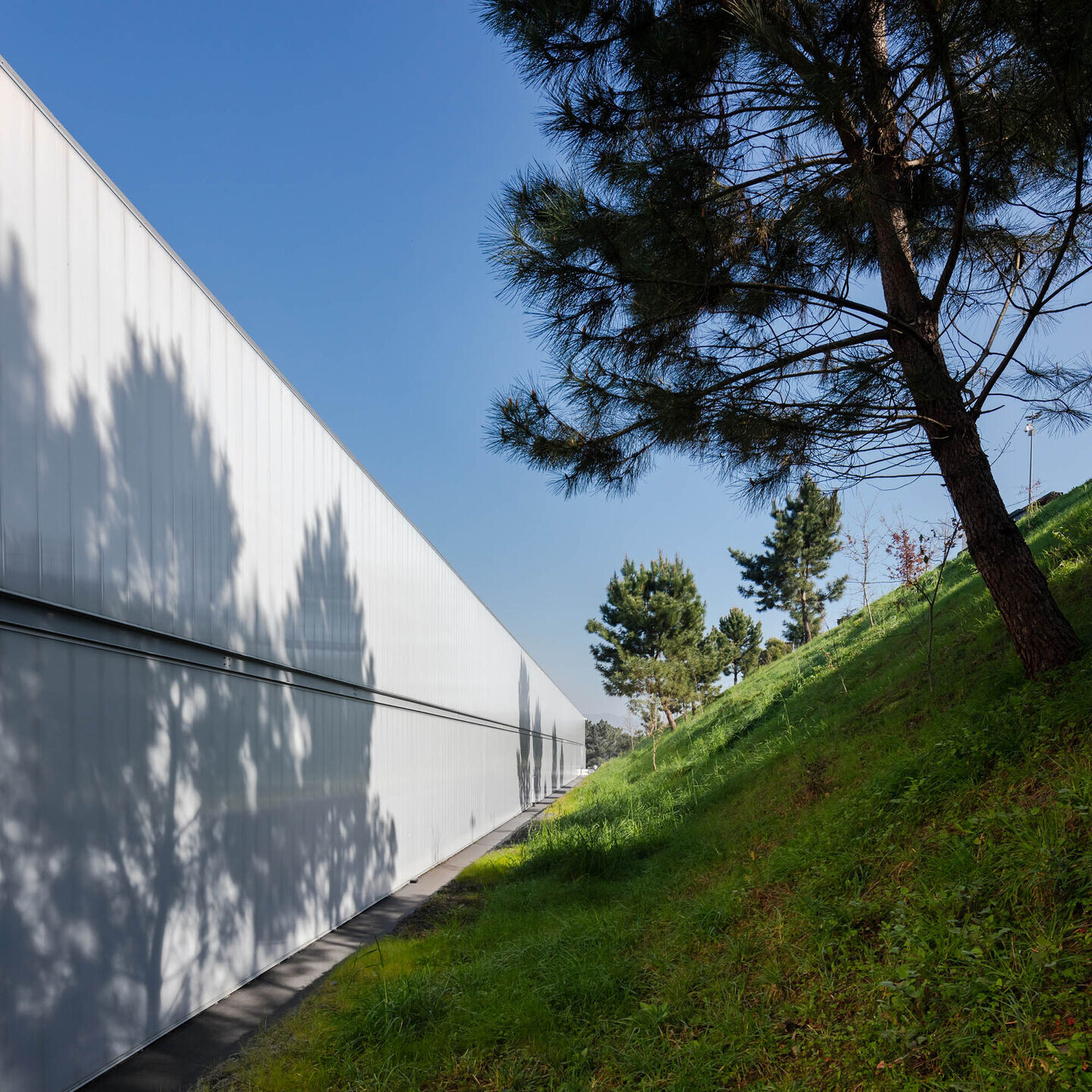 https://archello.com/story/126528/attachments/photos-videos/3 photo_credit João Morgado