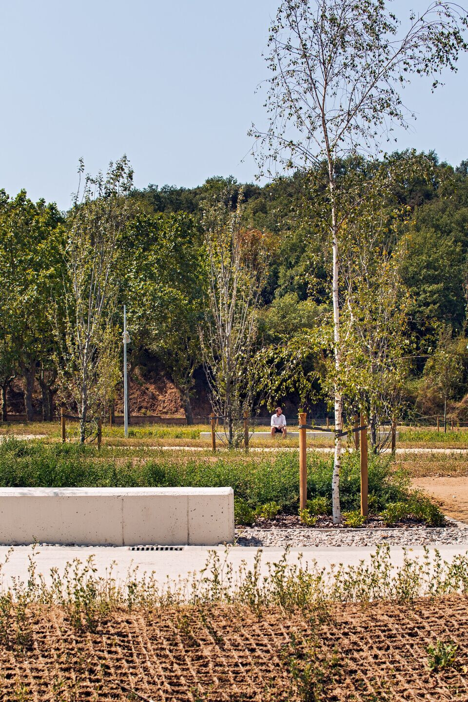 https://archello.com/story/126600/attachments/photos-videos/8 photo_credit Pol Viladoms