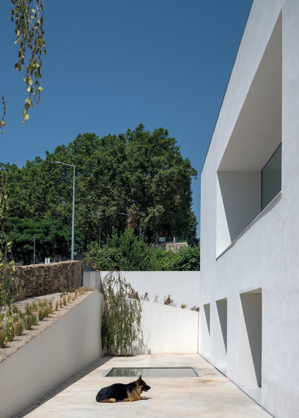 https://archello.com/story/126720/attachments/photos-videos/4 photo_credit Duccio Malagamba