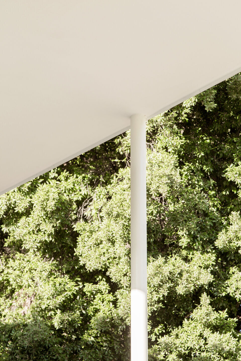 https://archello.com/story/126787/attachments/photos-videos/17 photo_credit Carlotta Di Sandro