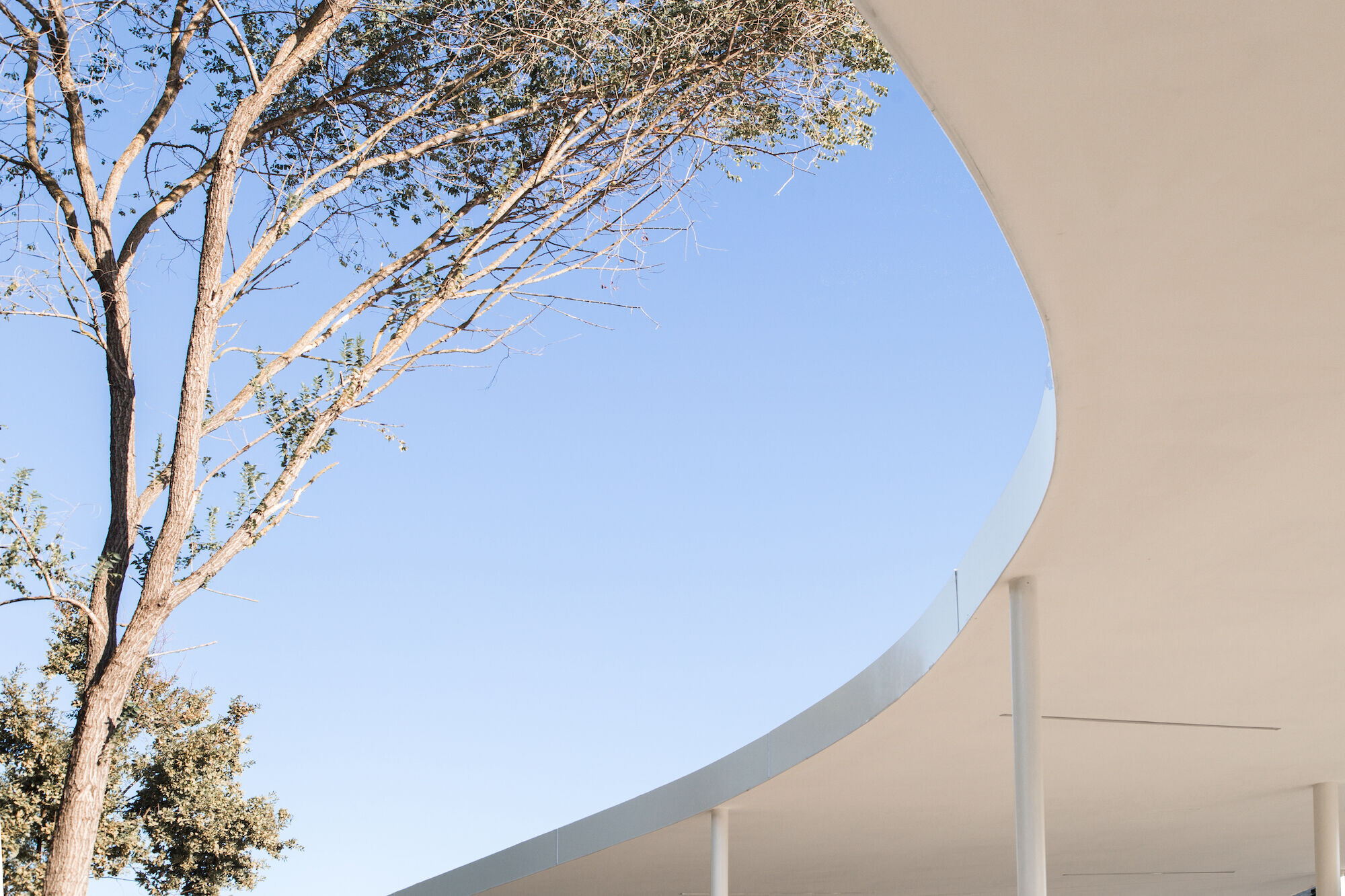 https://archello.com/story/126787/attachments/photos-videos/18 photo_credit Carlotta Di Sandro