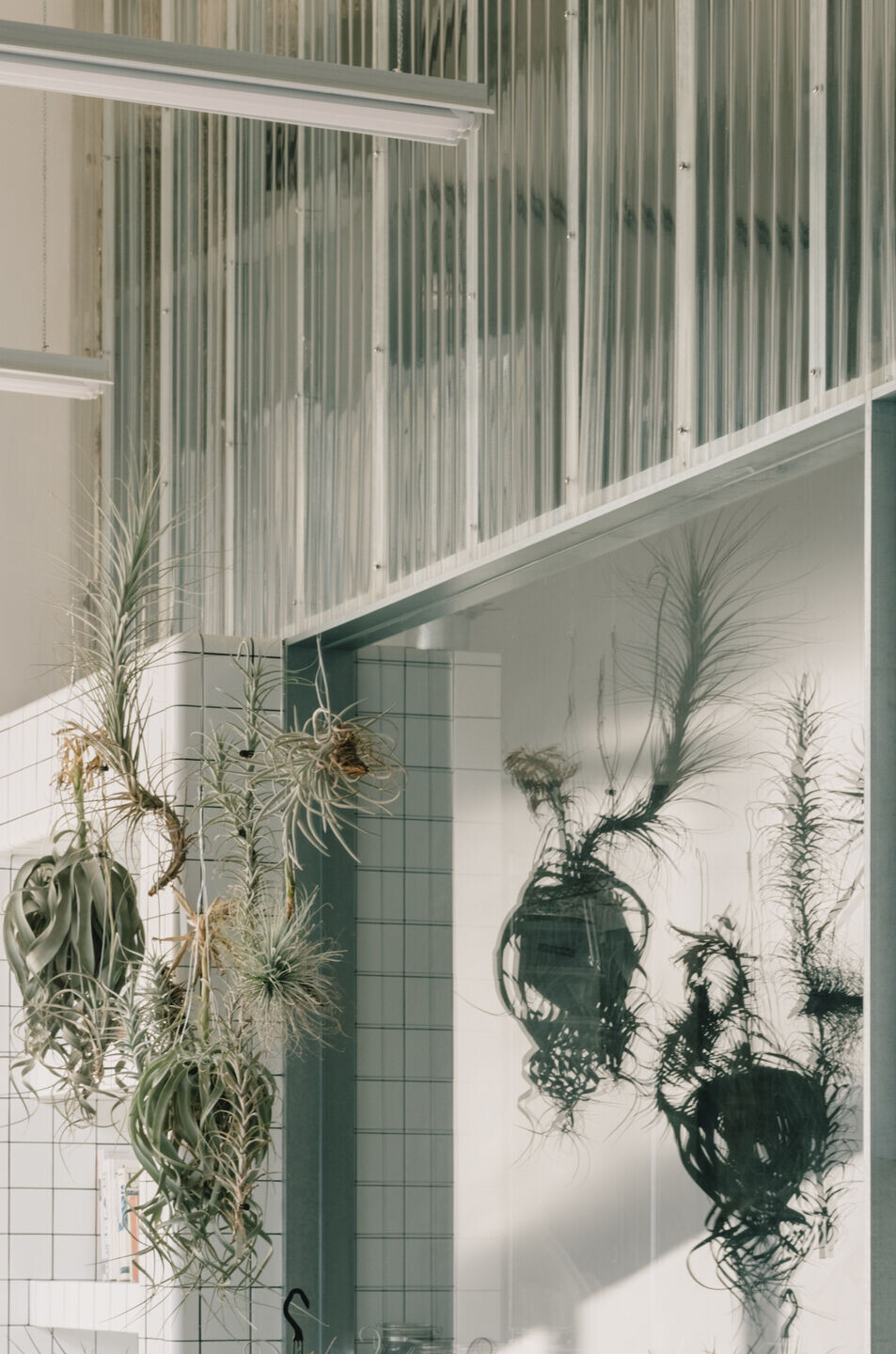 https://archello.com/story/126831/attachments/photos-videos/19 photo_credit Wen Studio