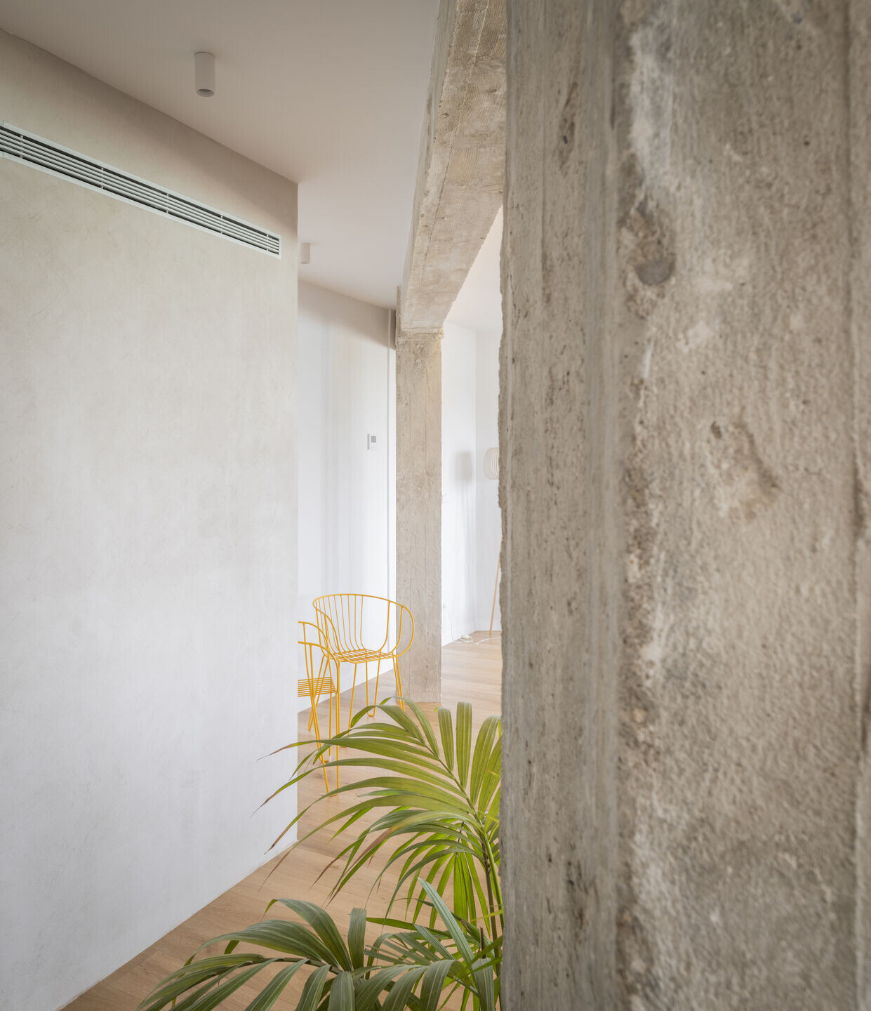 https://archello.com/story/126851/attachments/photos-videos/6 photo_credit ALBERTO AMORES