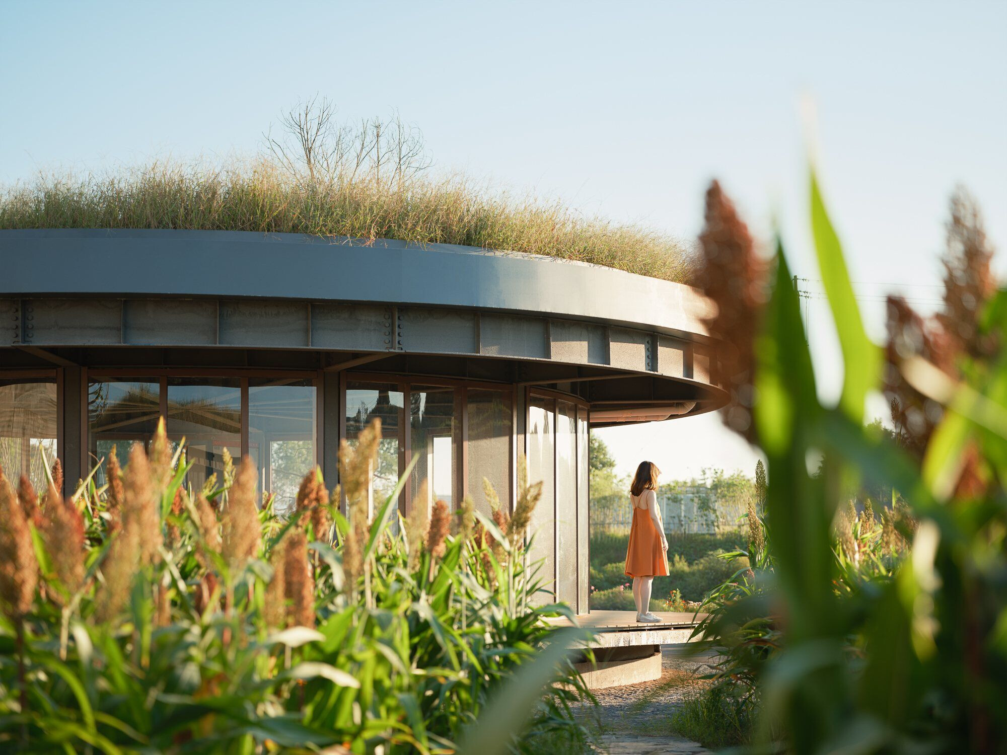 https://archello.com/story/127019/attachments/photos-videos/26 photo_credit INSPACE