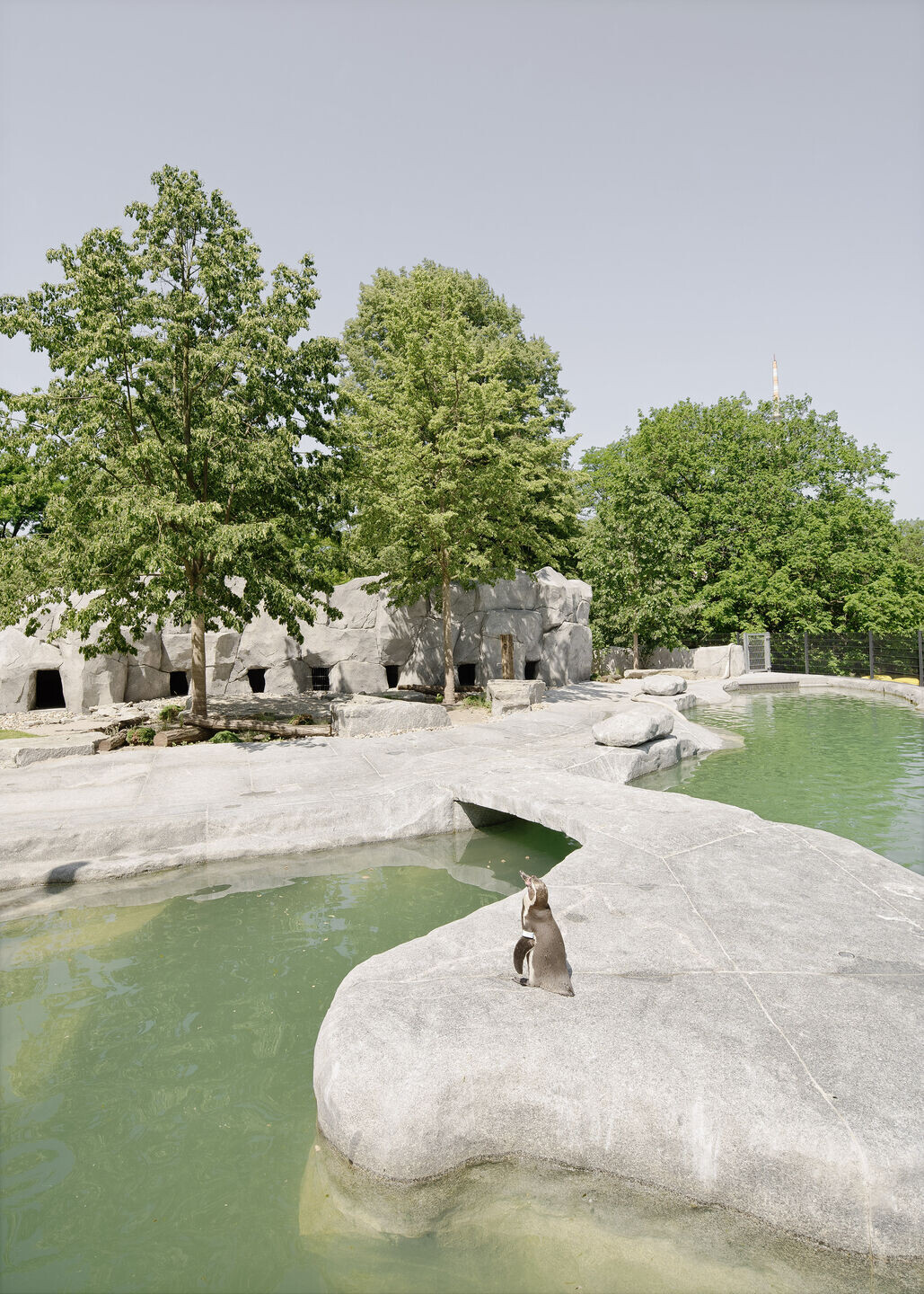 https://archello.com/story/127192/attachments/photos-videos/14 photo_credit Brigida González