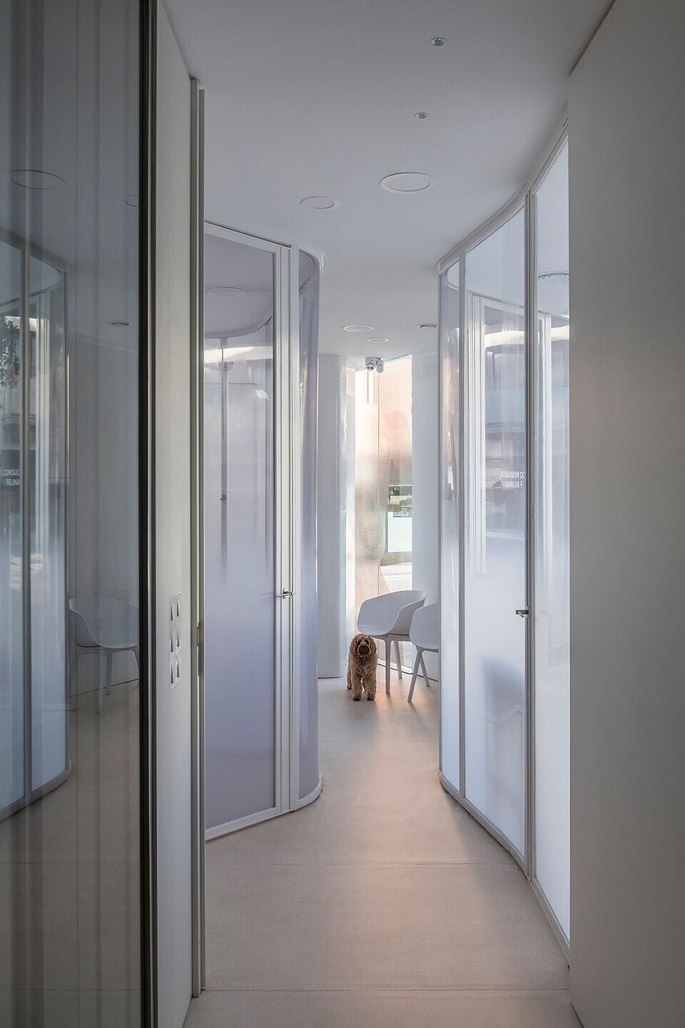 https://archello.com/story/127273/attachments/photos-videos/6 photo_credit Pep Sau