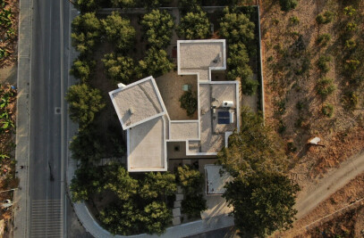 House in an olive grove